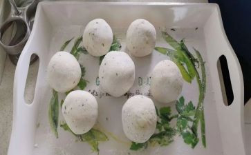 祖父的园子教案优秀6篇