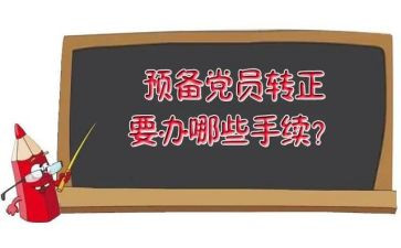 预备期转正申请书7篇