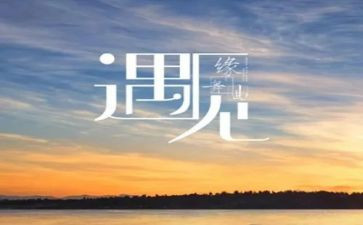 遇见狼作文5篇