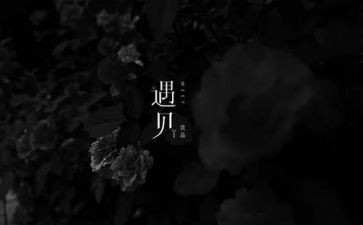 遇见你作文5篇