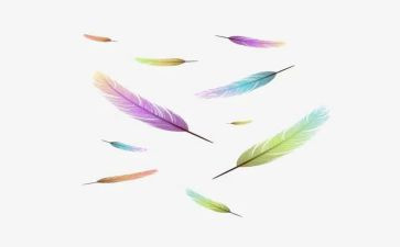 羽毛球活动总结优质7篇