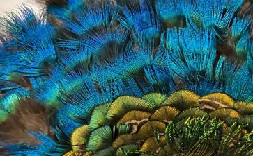 羽毛球活动总结7篇