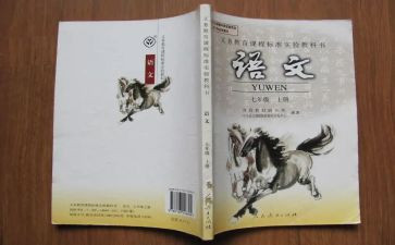 四上语文工作总结优质6篇