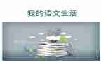 语文教师年度个人述职报告7篇