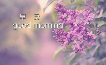 早教周工作计划8篇