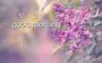 早教年工作计划优秀8篇