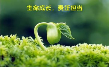 责任主体谈主体责任心得体会8篇