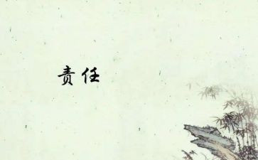 履行责任述职报告5篇