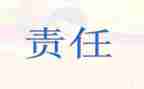 主体责任责任调研报告7篇