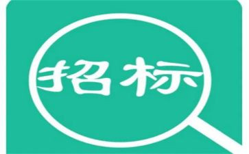 2024年招标工作总结优质5篇