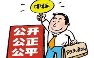 应招标为招标自查报告7篇