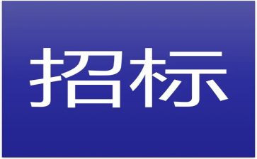 招标自查报告8篇