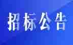 2022招标自查报告6篇