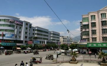 镇党委半年度工作报告6篇