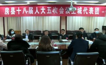 镇代表述职报告5篇