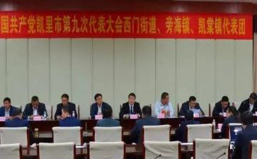 镇代表述职报告2023年优秀5篇