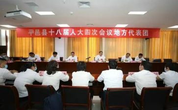 镇代表述职报告2023年8篇