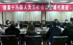 镇代表述职报告5篇