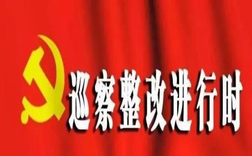 组织落实情况报告和整改报告5篇