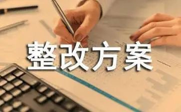 巡查组整改报告6篇