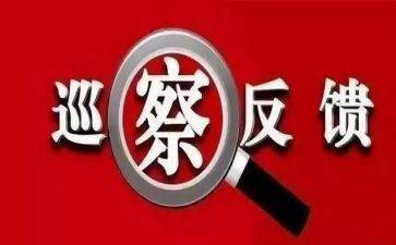 自查整改报告范文参考5篇