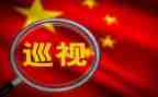 师德师风整改报告推荐5篇