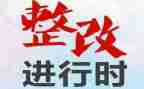 项目自查整改报告5篇