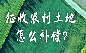 征收科工作总结6篇