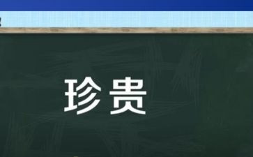 亲情的珍贵作文优质5篇