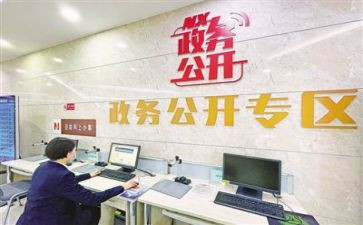 政务公开的自查报告范文8篇