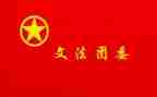 镇团委副书记述职报告6篇