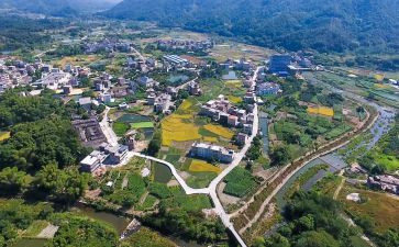 对村乡村振兴的调研报告通用6篇
