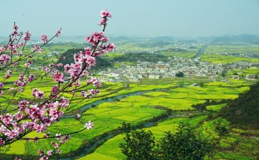 2024乡村振兴类调研报告5篇