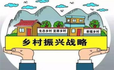 县乡村振兴工作年度总结精选6篇