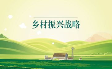 2024乡村振兴调研报告范文5篇