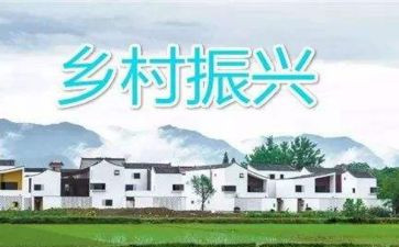 2024年乡村振兴工作总结报告8篇