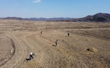 市域社会治理现代化工作汇报材料8篇