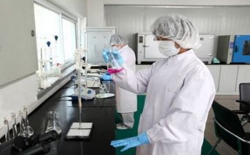 质量月的活动总结通用7篇