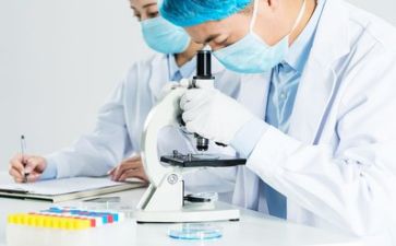 质量月自查报告6篇