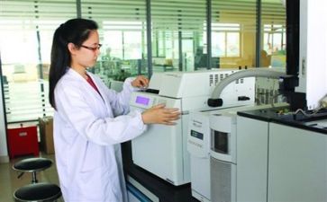 质量工作年度总结8篇