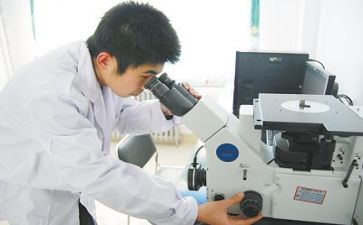 质量部上半年工作总结5篇