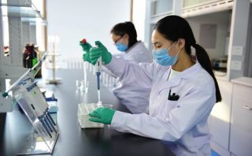 质量月的自查报告6篇