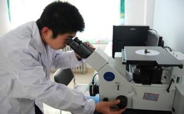 2024年度质量年度总结6篇