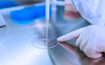 质量类述职报告7篇