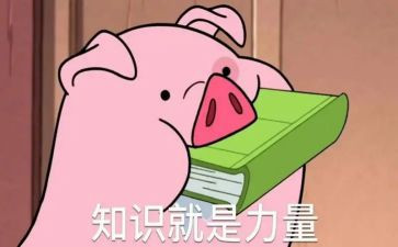 法律知识心得体会7篇