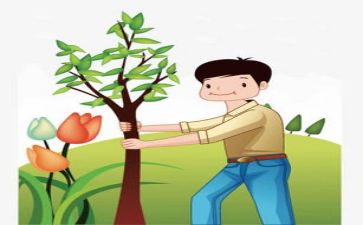 2022植树活动方案8篇