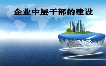 系中层干部述职报告优质8篇