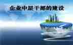 系中层干部述职报告优质8篇