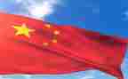 2024中国年作文参考6篇