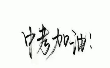 酒中考作文模板7篇